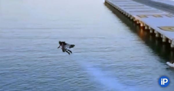 Человек пролетел над Дубаем, используя самый настоящий джетпак