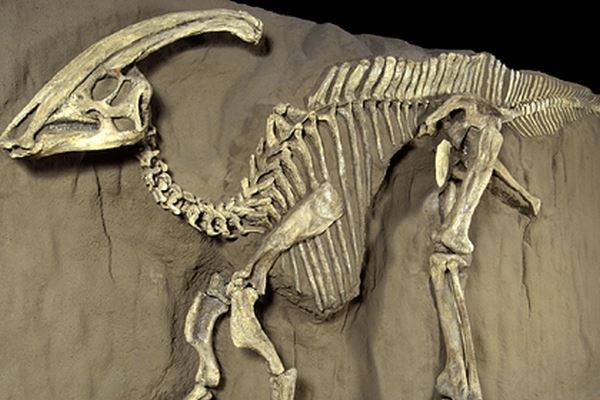 <br />
У динозавров нашли загадочную форму рака<br />
